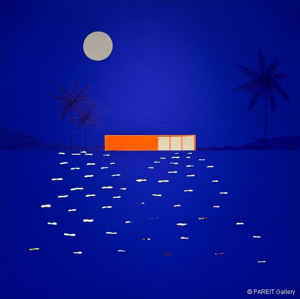 DERECQUE Isabelle - Full moon in Everglades